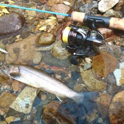 鱒レンジャーを持ってイワナの谷へ